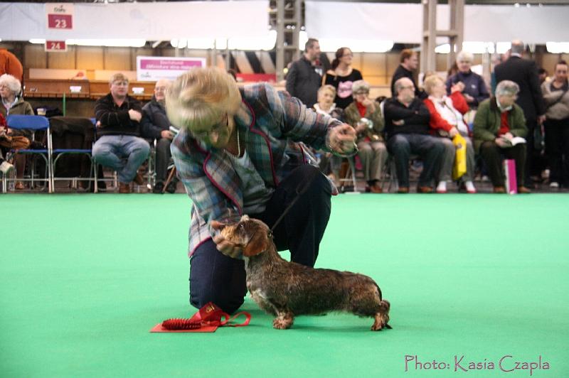 Crufts2011_2 1128.jpg